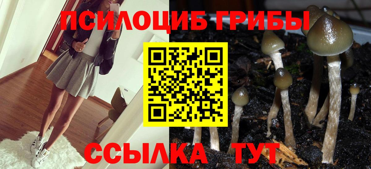 Псилоцибиновые грибы мицелий Новошахтинск